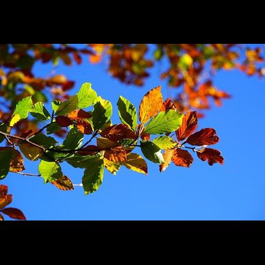 【秋冬に備えて】夏の終わりはダイエットの始まり！