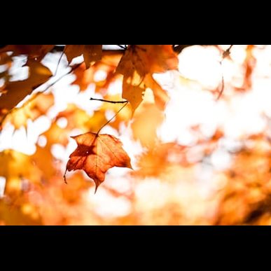 【冬太り予防】10月から始めるダイエットで年末まで３kg減！