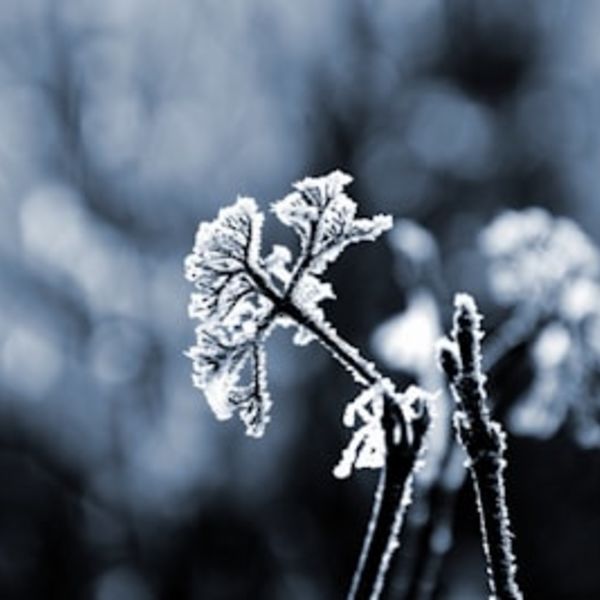 正月太りを脂肪にしない！入学式に間に合わせるダイエット！