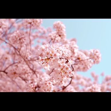 ４月から始める、最後の3ヶ月ダイエット！